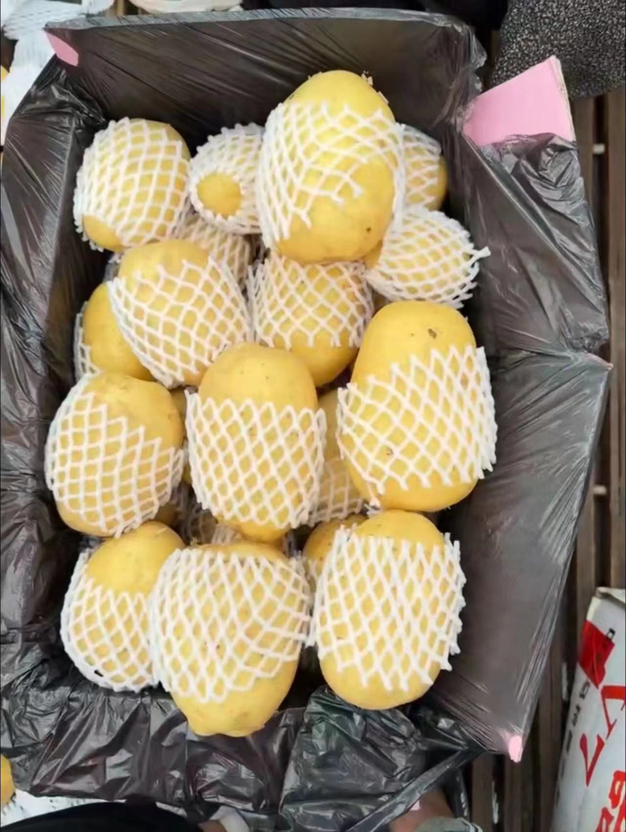 upload/20240801114038118_37986.jpg